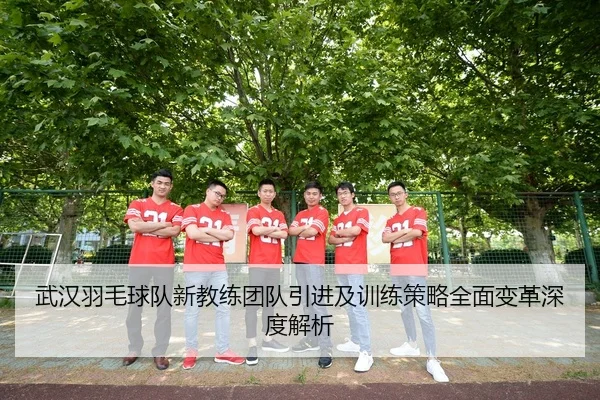 武汉羽毛球队新教练团队引进及训练策略全面变革深度解析